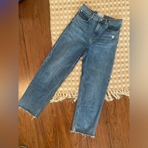 Everlane The Way-High Jean